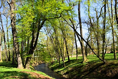 dsc-8626.jpg