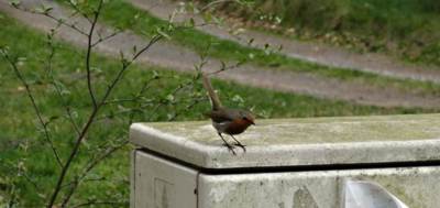 img-0006-1.jpg