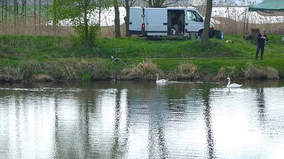 p1170808-17.jpg