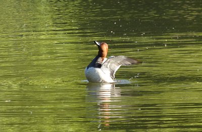 park-polak-velky-mava-1.jpg