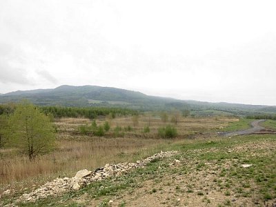 tn-cimg6424.jpg